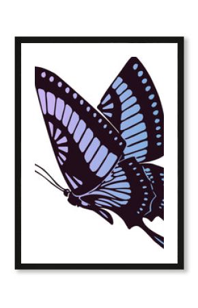 Stylized butterfly illustration is showing wings with pastel purple patterns on transparent canvas