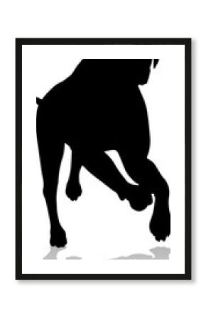 Dog Silhouette Pet Animal