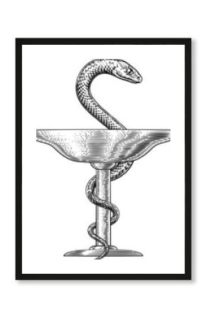 Bowl of Hygeia Snake Medical Pharmacist Icon