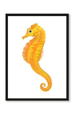 Yellow seahorse png sticker, animal illustration, transparent background