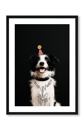 Playful dog wearing illustrated woolly hat in a modern creative portrait celebrating winter and fun design