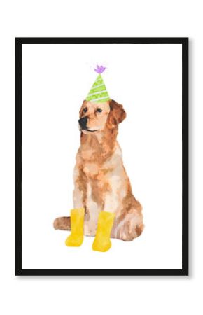 Golden retriever dog png illustration on transparent background in watercolor with party hat