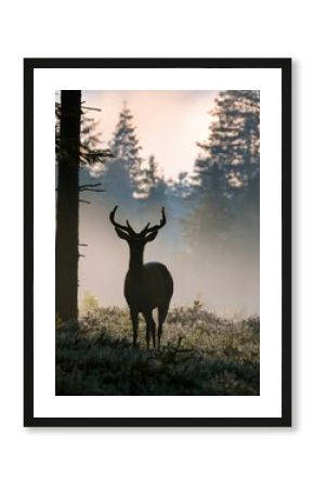 A deer stands gracefully in a smoky forest, surrounded by tall trees and soft light of dawn.
