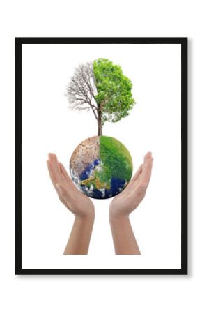 Hand holding change tree forest drought and forest refreshing on globe isolated on white background. Ecology concept Half alive and half dead tree standing at the crossroads. world image by NASA