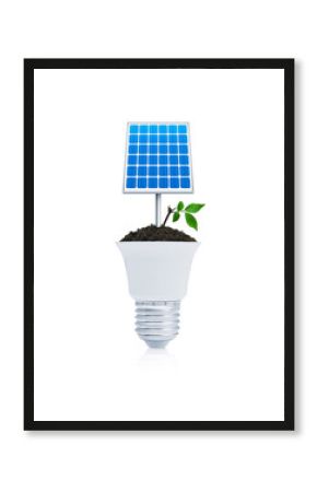 Solar cell and fresh green tree leaves on soil with led light bulb on white background, Green ecology and saving energy concept
