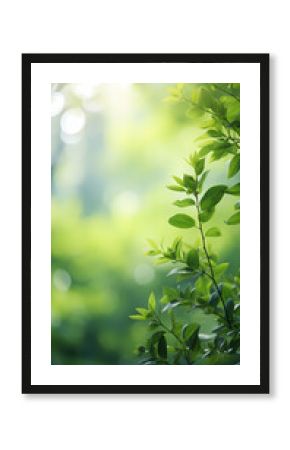 nature landscape green leaves