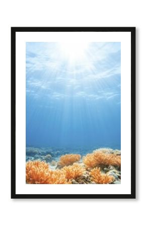 Untouched Coral Reef Teeming with Vibrant Marine Life Beneath Crystal Waters