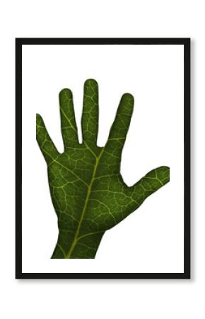 MAIN VERTE FOND BLANC
