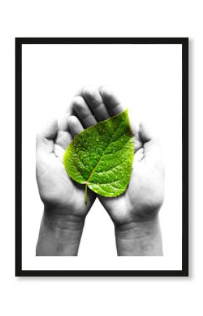 ecology concept. care of plants