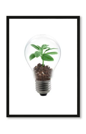 bulb light tree 2