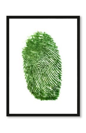Fingerprint of grass