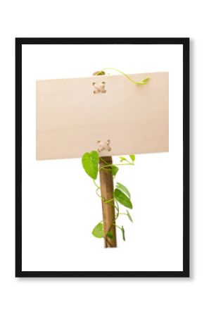 green sign