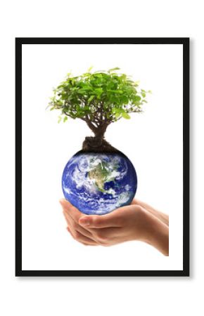 il mondo nelle nostre mani
