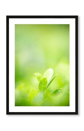 Nature of green leaf in garden at summer. Natural green leaves plants using as spring background cover page greenery environment ecology wallpaper