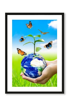 Woman hands holding world or globe above the field grass with butterfly on earth day.Environment conservation and energy saving concept.Elements of this image are furnished by NASA.