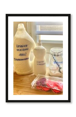 produits ménagers écologiques