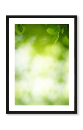 Nature of green leaf in garden at summer. Natural green leaves plants using as spring background cover page greenery environment ecology wallpaper
