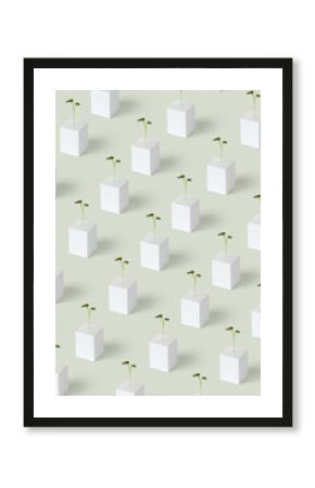 Pattern from paper cubes and growing microgreen.