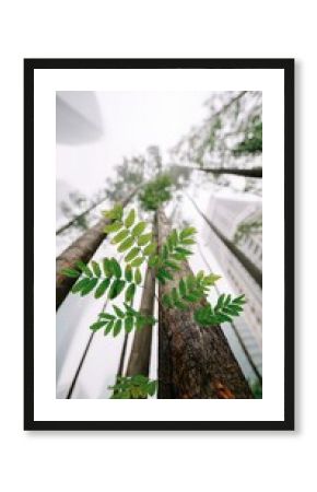 Green Leaves  Urban Greenery  Sustainable City  ESG Concept  Modern Architecture  Nature