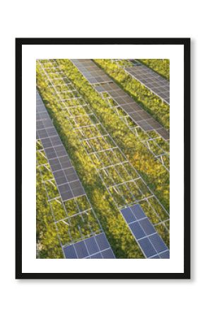 Aerial view of the unfinished solar panels on the green field