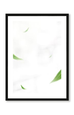 Flying green leaves on white background. Fresh spring foliage. Environment and ecology backdrop