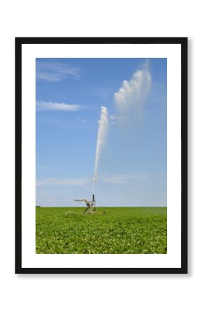 champs agriculture secheresse tuyau arrosage eau
