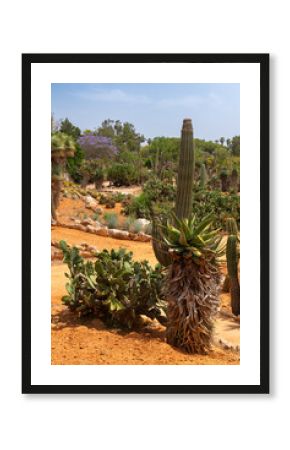 Parc Botanicactus Majorque Ile baléares Espagne
