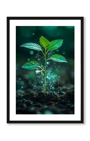 A small plant growing from soil with a digital network overlay and a blurred green background behind it