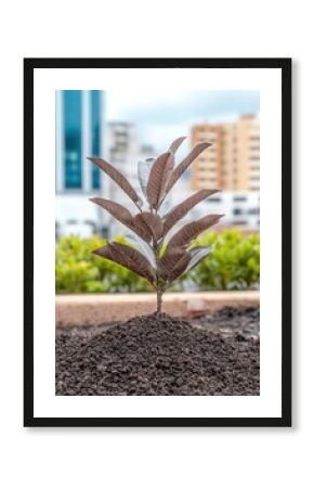 Young plant sprouts from rich soil against backdrop of modern city buildings