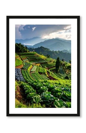 Lush, verdant agricultural terraces cascade down a mountainside, bathed in sunlight. Rolling hills merge with distant peaks under a clouded sky