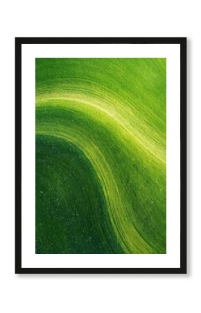 Aerial Shot of Lush Green Crops in Curved Stripes Capturing the Beauty of Agricultural Landscapes from Above in Vibrant Natural Colors