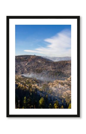 wildfire prevention