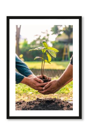 World environment day afforestation nature and ecology concept The male volunteer are planting seedlings and trees growing in the ground while working in the garden to save Earth, Earth Day.