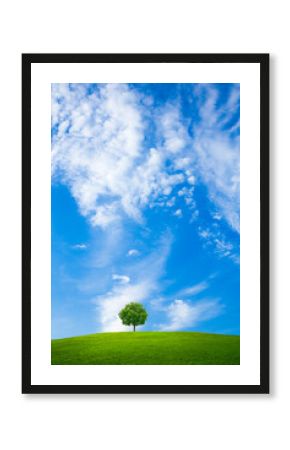 草原と青空に一本の木
