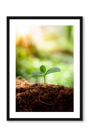 Earth day concept. Renewable energy for future. Sustainable resources. Plant management or environment symbol. Clean energy growing up.