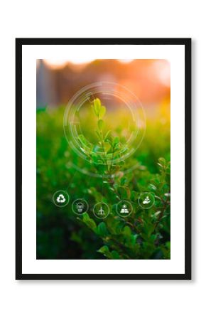 abstract green background with icons. ecology sustainability and renewals concept