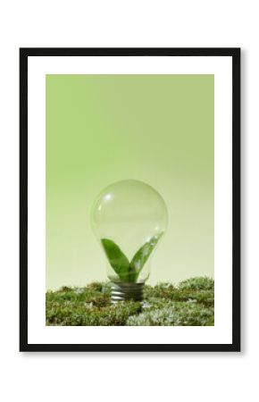 Green forest with moss and grass with lightbulb.