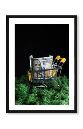 100 US Dollar in mini shopping cart on green moss and black background. Shop trolley. Conscious consumption. Discount, shopaholicism, business, finance, online shopping, money saving, ecology concept