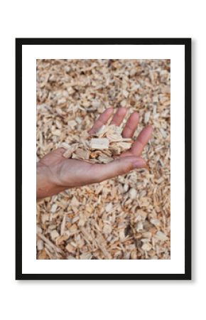 A hand holds shredded wood which is used to fuel wood boilers.