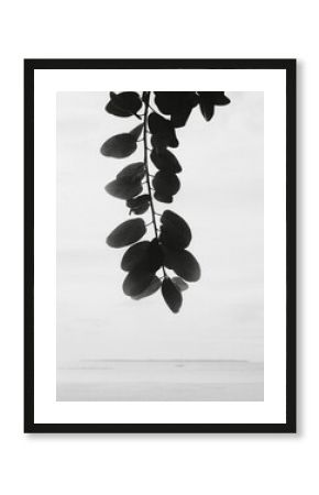 Silhouette of Leaves