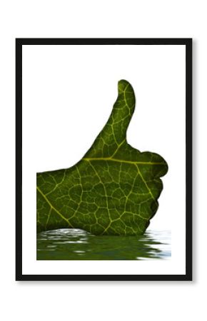 MAIN VERTE DANS L'EAU