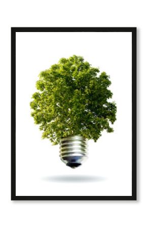 renewable energy concept