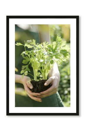 jardinage