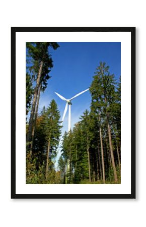 ecologie 4