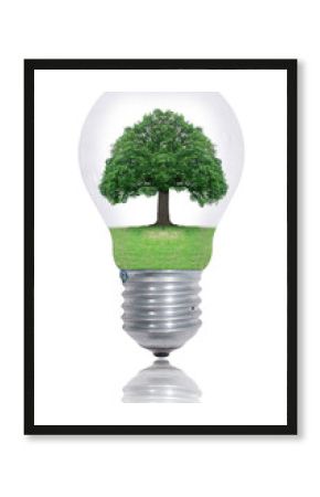 Protect environement