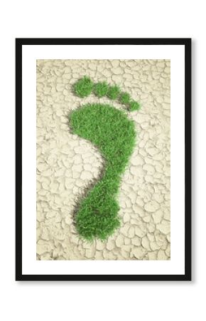 Ecological footprint - grass patch footrpint