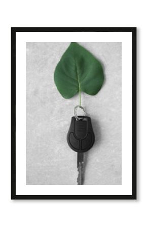Car key with green leaf on table