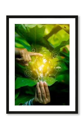 Light bulbs that grow, in the concept of energy in nature