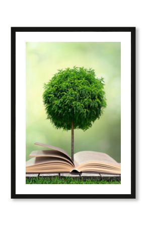 open book and tree on the wood table with green grass in the nature background