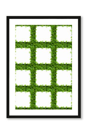 新芽背景に並ぶ白タイル合成